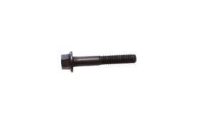 Injector holder screw IVECO EuroCargo TECTOR 4895483
