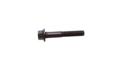 Injector holder screw IVECO EuroCargo TECTOR 4895483