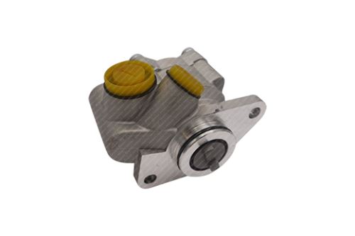 Hydraulikpumpe, Lenkung