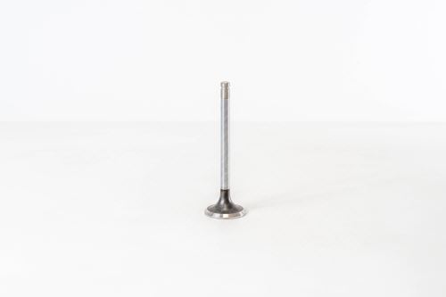 Auslassventil 13202-44G00