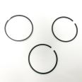 Piston Ring Kit 800033010000