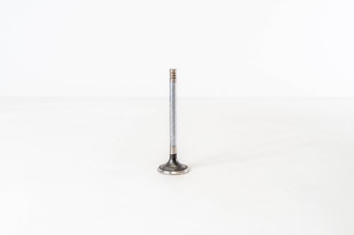 Valve exhaust ERR1156