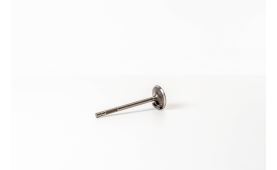 Valve intake 4802200 (2)