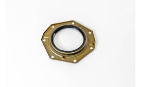 Shaft seal (1)