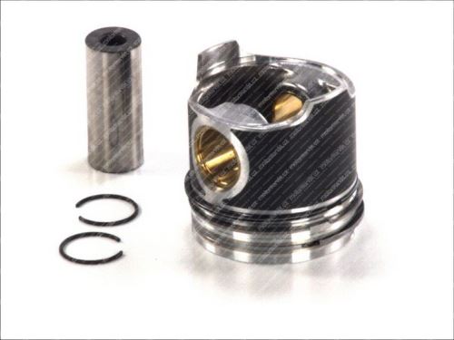 Piston assy 850366