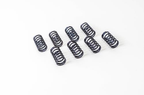 Valve spring 4723186
