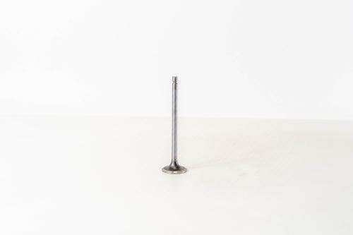 Einlassventil 822280