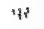 Šroub setrvačníku M12x1.25x31 mm IVECO EuroCargo TECTOR 4894641