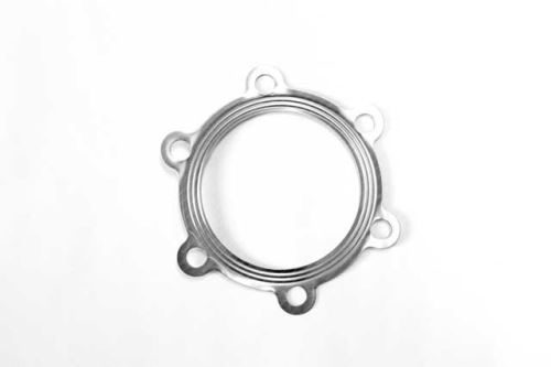 Exhaust manifold gasket 21857.00