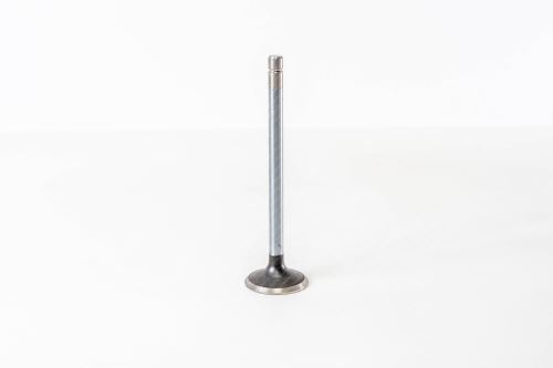 Auslassventil 4684089