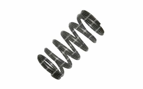 Valve spring