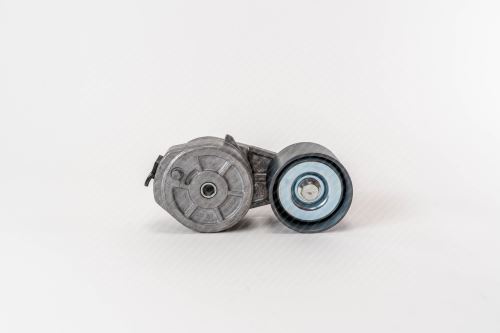 Tensioner pulley