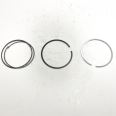 Piston Ring Kit 800073310000
