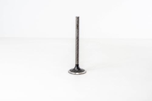 Valve intake 1904657