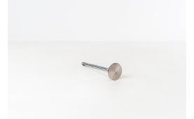 Valve exhaust 2997862 (2)