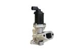 Ventil EGR 7.00020.25.0