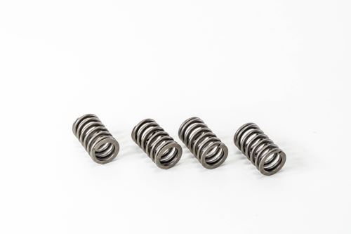 Valve Spring 2831473