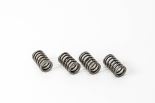 Valve spring 2831473 Valve spring 2831473