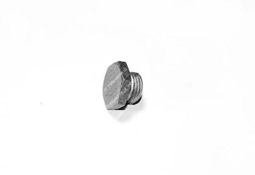 Screw Plug 16992415