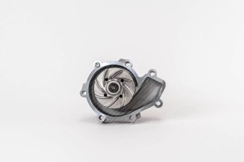 Water Pump 50005439