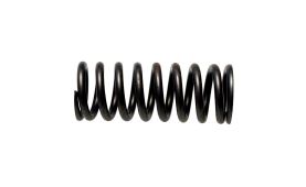 Ventilfeder  504125776 (1)