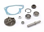 Repair kit, water pump