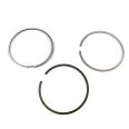 Piston Ring Kit