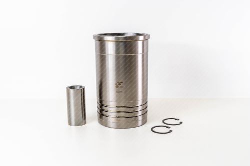 Repair Set of piston/sleeve 500054839