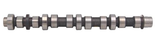Camshaft 55206425
