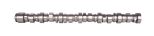 Camshaft 500371657 Camshaft 500371657