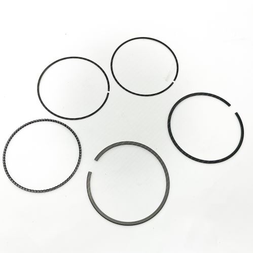 Piston Ring Kit 800115910050