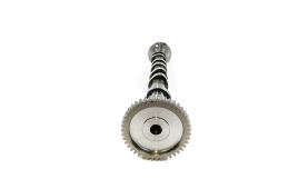 Camshaft 130206289R (2)