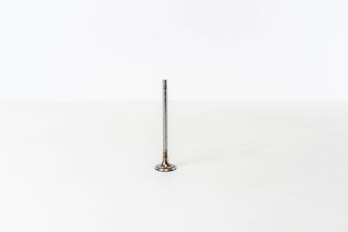 Einlassventil 55195535