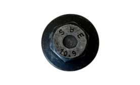 Schraube 4895323 (3)