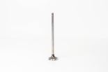 Valve exhaust 504127799 Valve exhaust 504127799