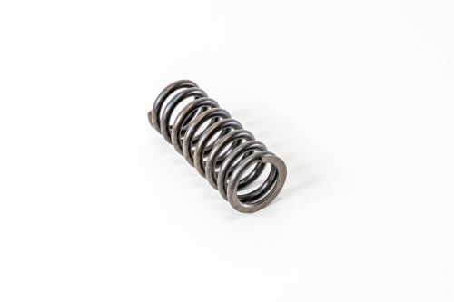 Valve Spring 504110996