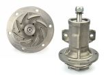 Water pump with gasket