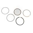 Piston Ring Kit 800041710000 Piston Ring Kit 800041710000
