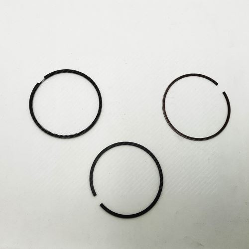 Piston Ring Kit 791282-50-3 819045