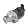 Ventil EGR 6000625574