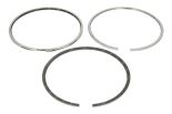 Kolbenringsatz STD 500055512