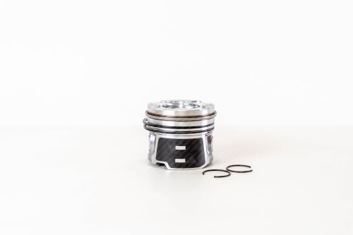 Piston 0628W0