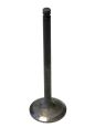 Valve exhaust 504029678 Valve exhaust 504029678
