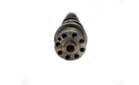 Camshaft 21110437 (2)