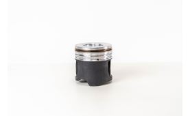 Piston assy 8093781 (1)