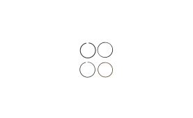 Piston Ring Kit 800048910000 (1)