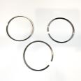 Piston Ring Kit 800030010000 Piston Ring Kit 800030010000