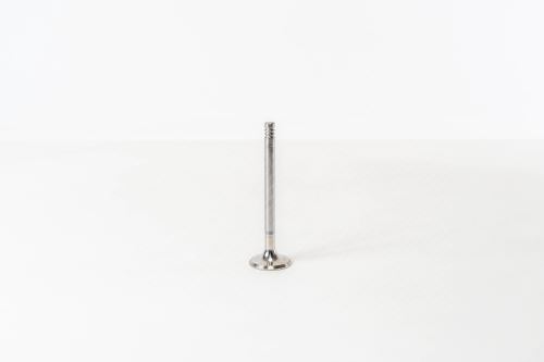 Auslassventil 1198044