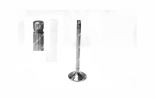 Valve intake Valve intake