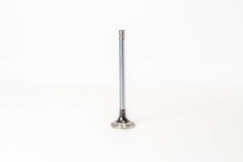 Valve exhaust 1678541